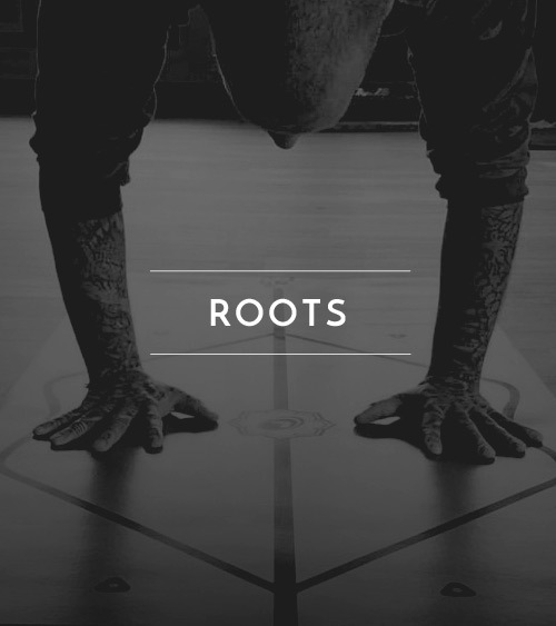 jai_classtypes_roots
