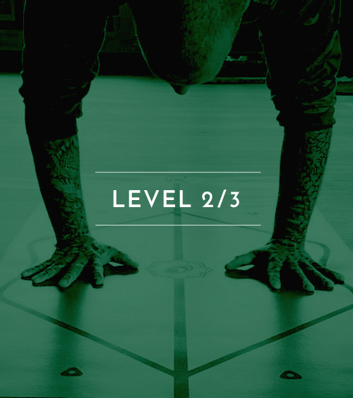 jai_classtypes_roots_hover