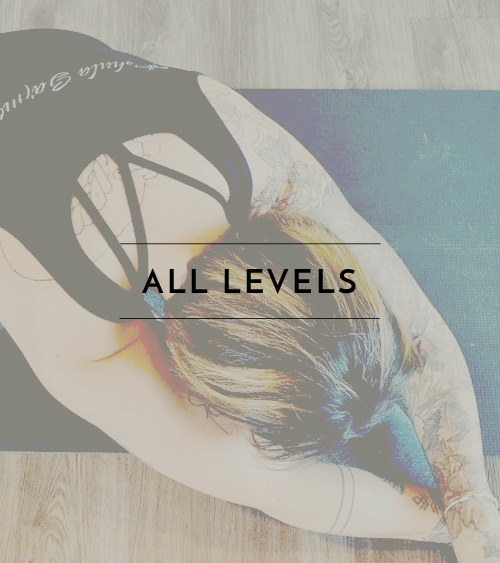 jai_classtypes_yin_hover